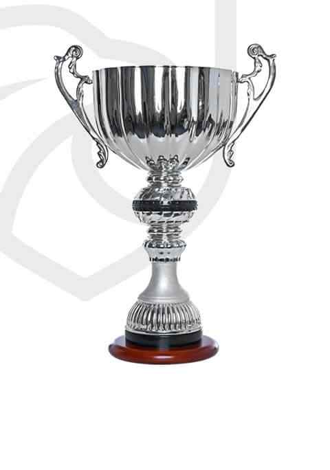 https://uksbielik.pl/wp-content/uploads/2022/11/trophy_overlay_01.jpg
