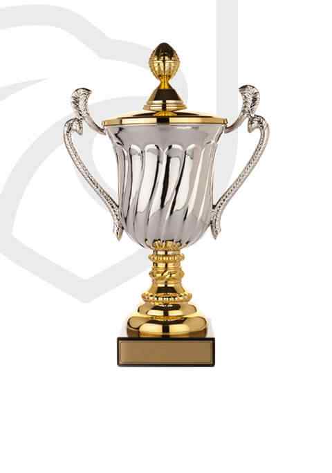 https://uksbielik.pl/wp-content/uploads/2022/11/trophy_overlay_02.jpg