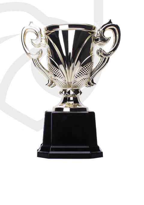 https://uksbielik.pl/wp-content/uploads/2022/11/trophy_overlay_04.jpg