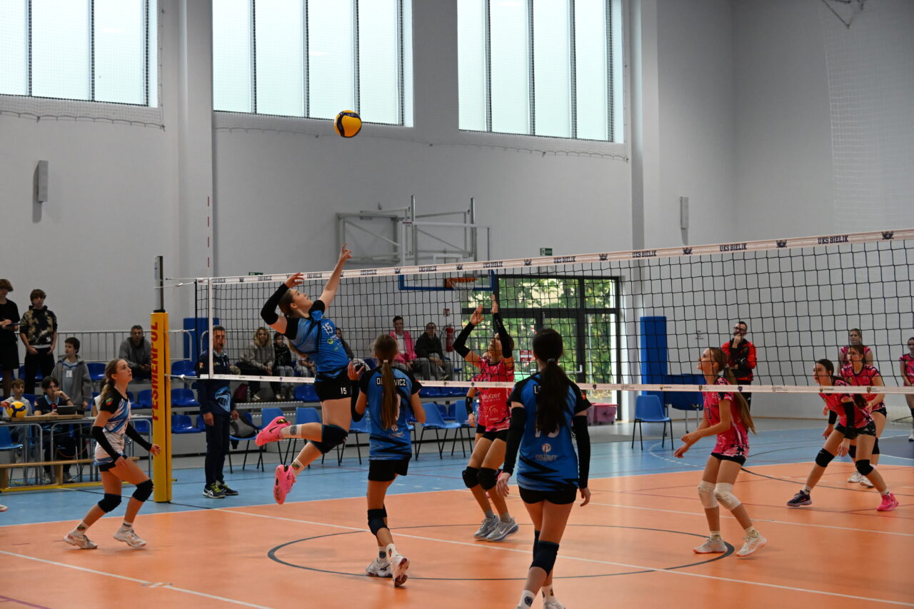 DSC_7823 DSC_7823